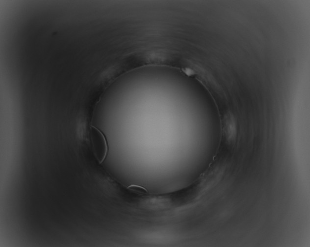X0000100910619200806241314