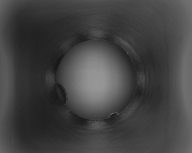 X0000100910621200806241314