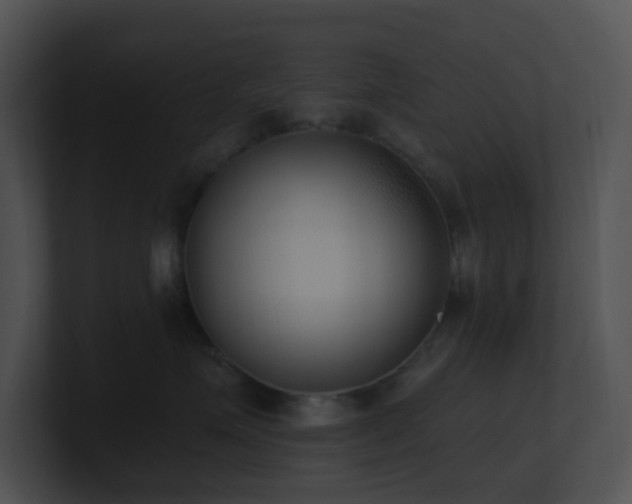 X0000100910623200806241314