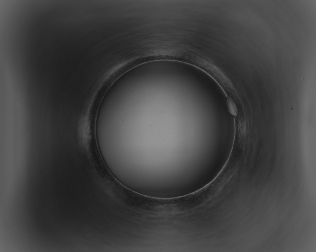 X0000100910628200806241314