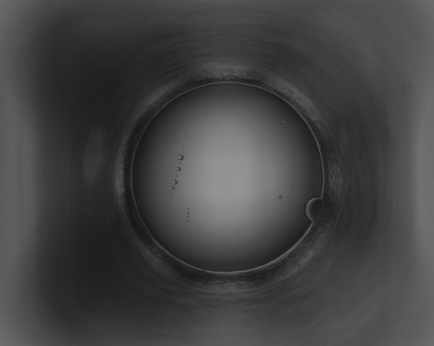 X0000100910629200806241314
