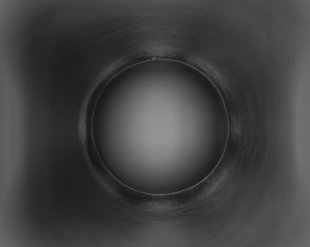 X0000100910630200806241314