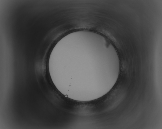 X0000100910632200806241314