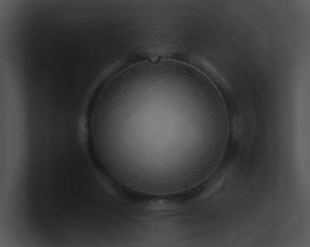 X0000100910634200806241314