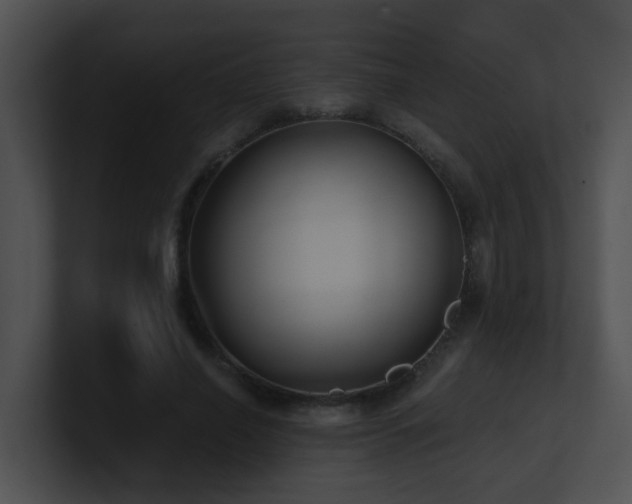 X0000100910638200806241314