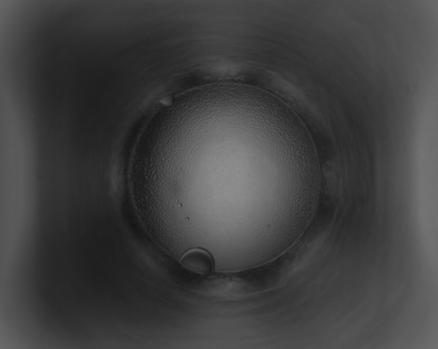 X0000100910642200806241314