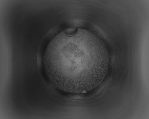 X0000100910643200806241314