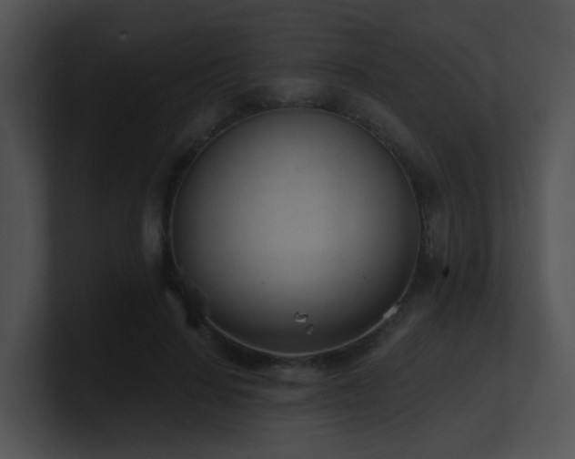 X0000100910644200806241314