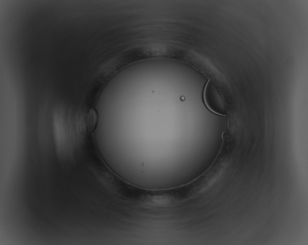 X0000100910645200806241314