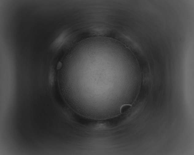 X0000100910647200806241314