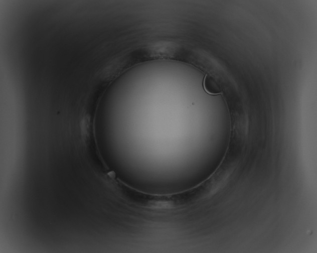 X0000100910649200806241314