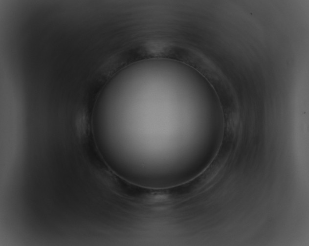 X0000100910651200806241314