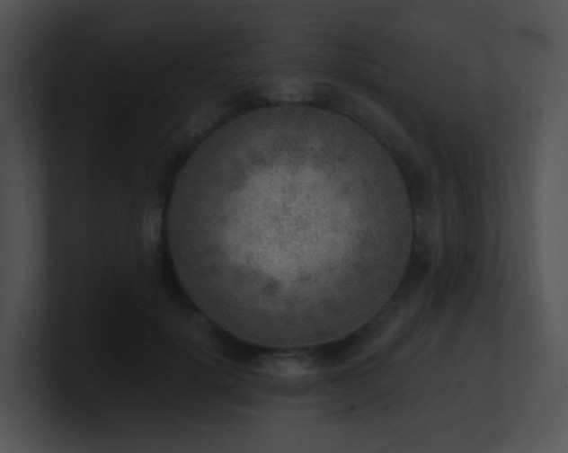 X0000100910652200806241314