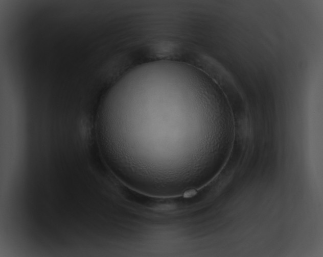 X0000100910653200806241314