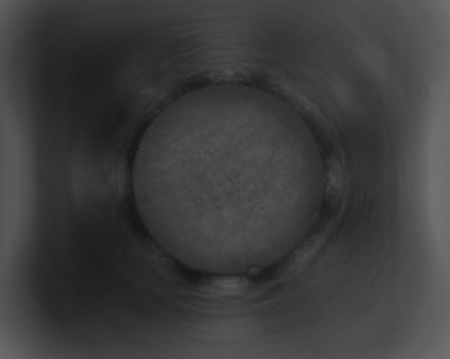 X0000100910659200806241314