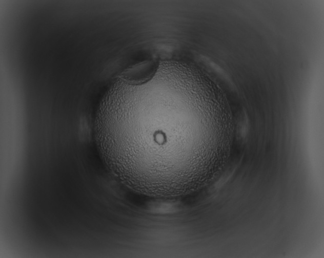 X0000100910661200806241314