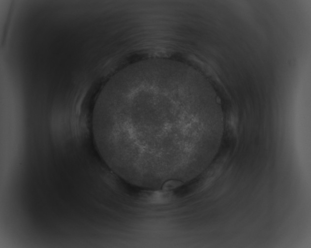 X0000100910663200806241314