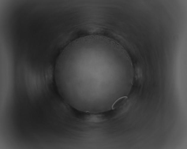 X0000100910664200806241314