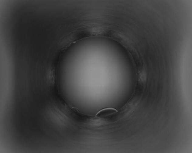 X0000100910666200806241314