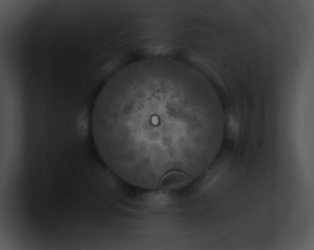 X0000100910668200806241314