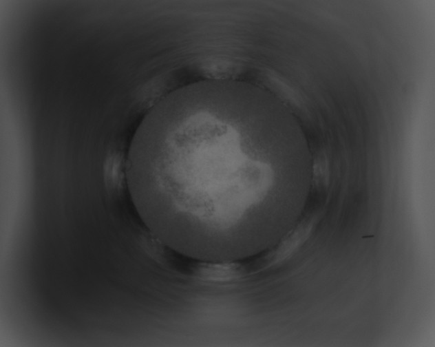 X0000100910671200806241314