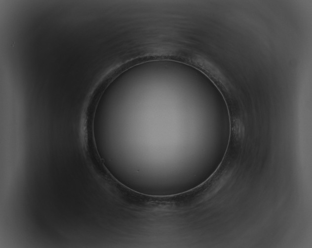 X0000100910676200806241314