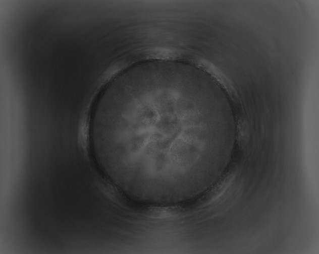 X0000100910679200806241314