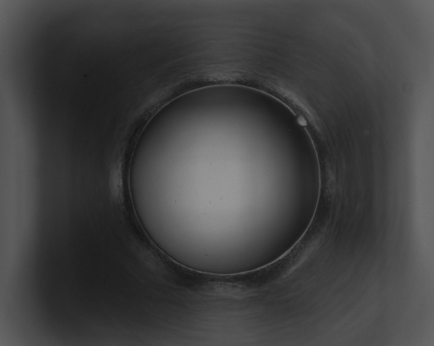 X0000100910681200806241314