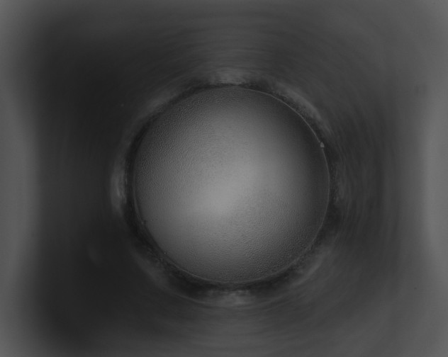 X0000100910683200806241313