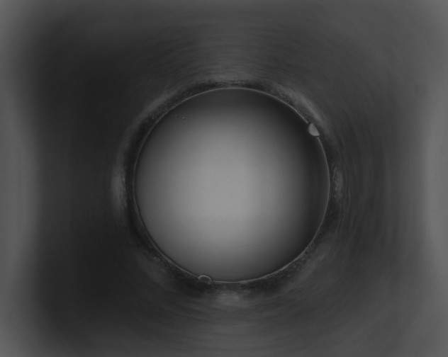X0000100910684200806241313