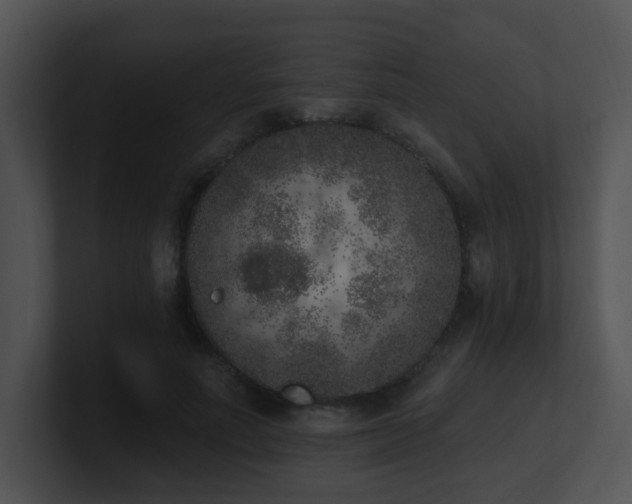 X0000100910691200806241313