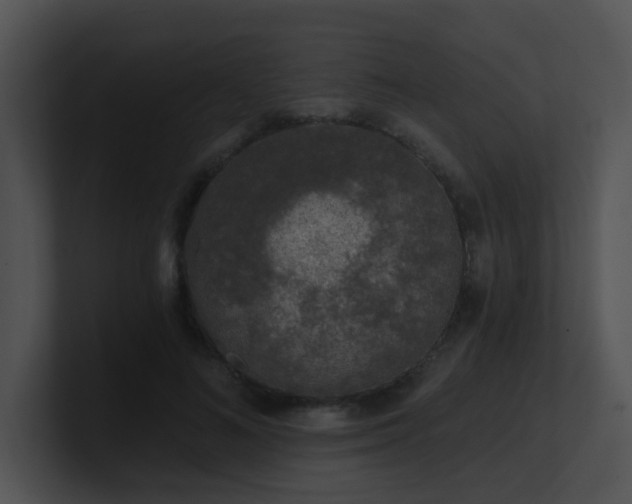 X0000100910692200806241313