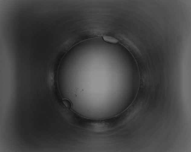 X0000100910693200806241313
