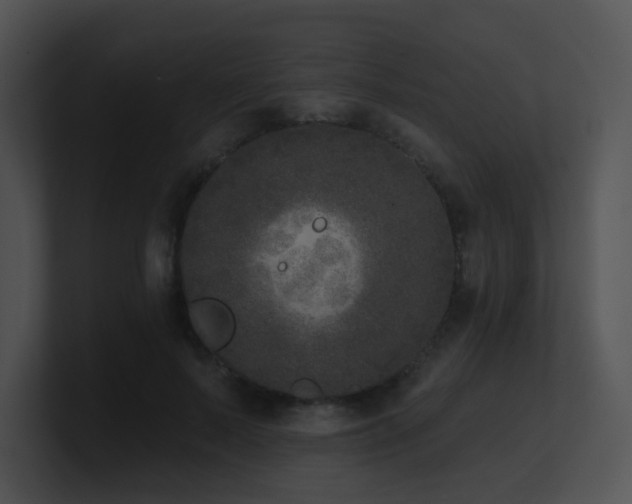 X0000100910695200806241313