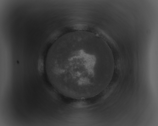 X0000100910696200806241313
