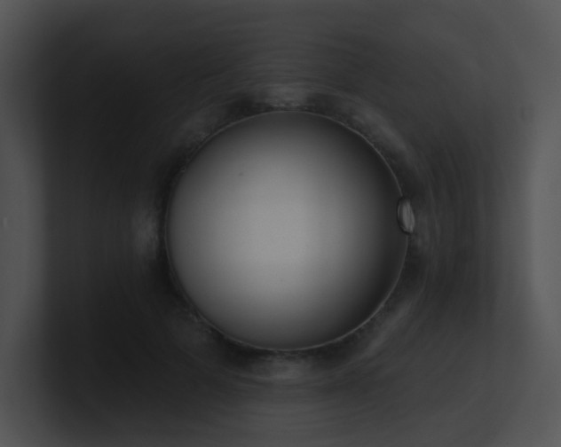 X0000100910697200806241313