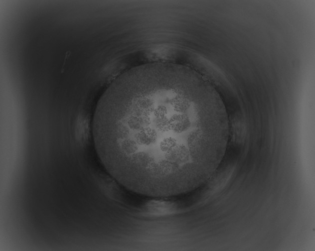 X0000100910699200806241313