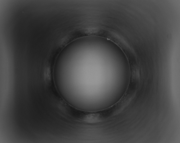 X0000100910700200806241313