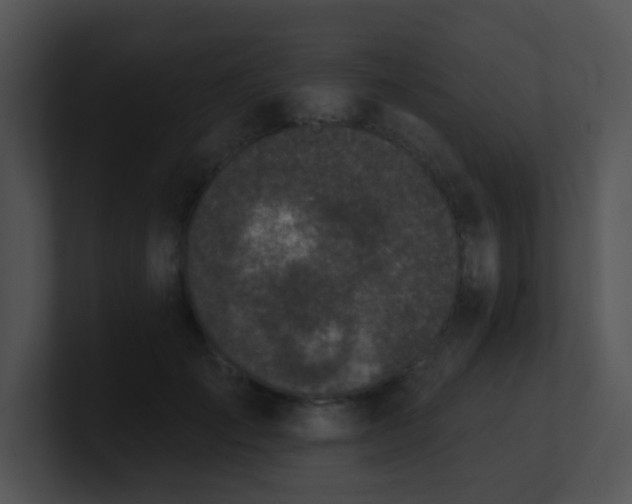 X0000100910701200806241313