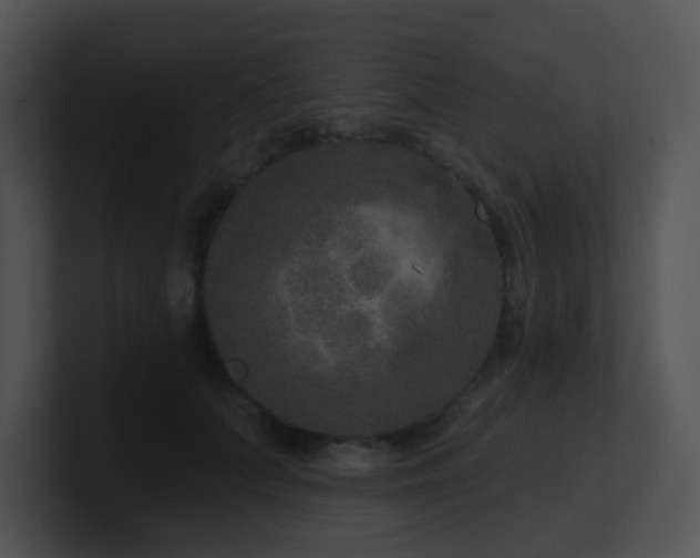 X0000100910703200806241313