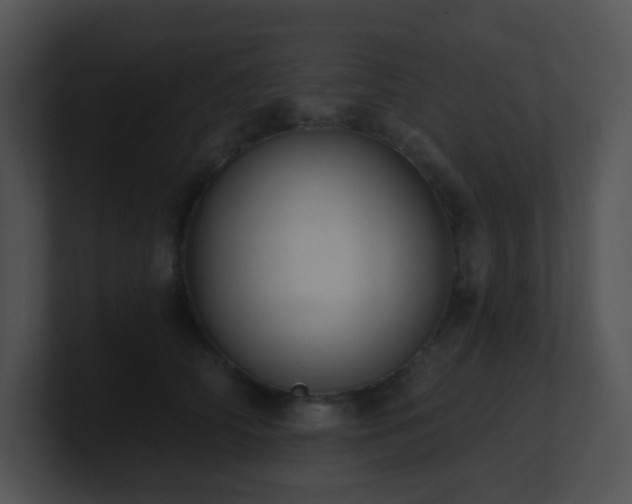 X0000100910706200806241313