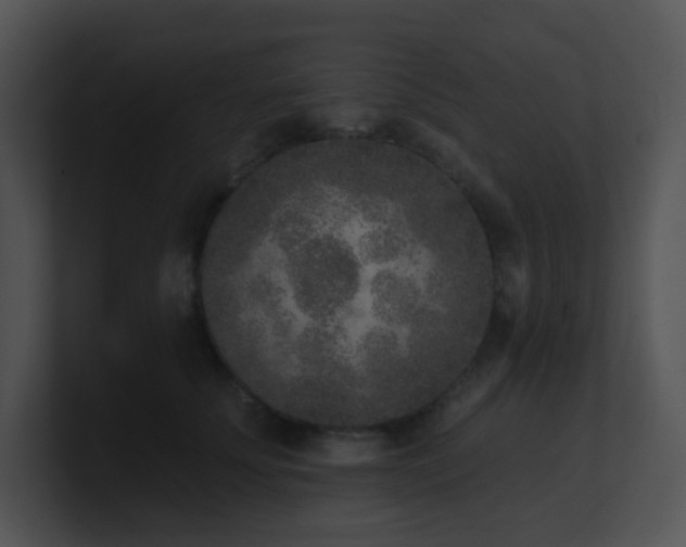X0000100910707200806241313
