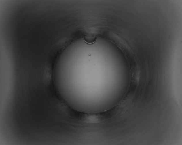 X0000100910710200806241313