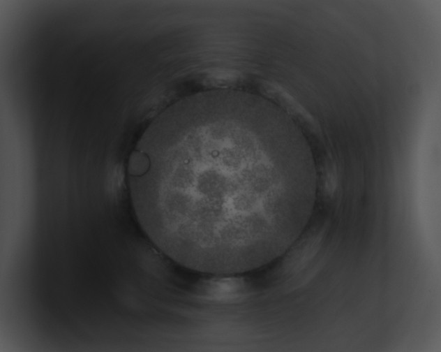 X0000100910711200806241313