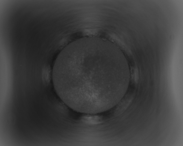 X0000100910712200806241313