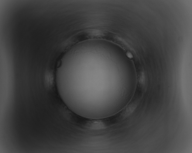 X0000100910715200806241313
