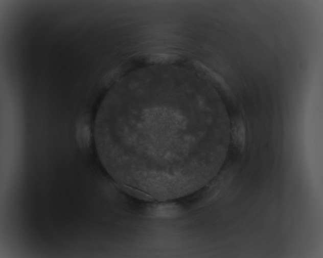 X0000100910716200806241313