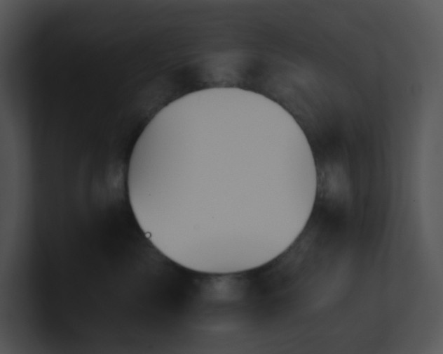 X0000100910717200806241313