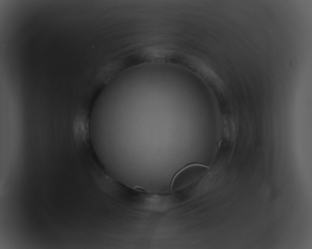 X0000100910718200806241313