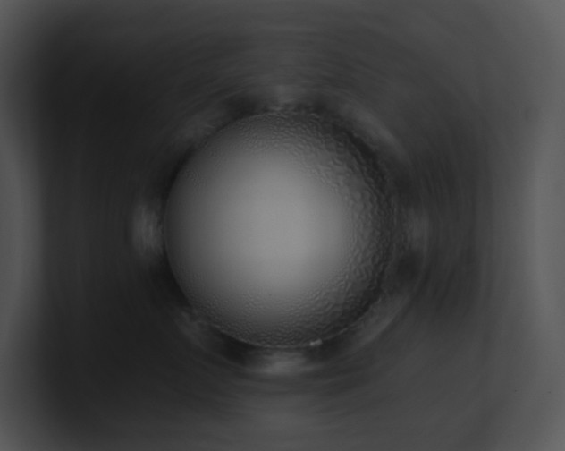 X0000100910719200806241313